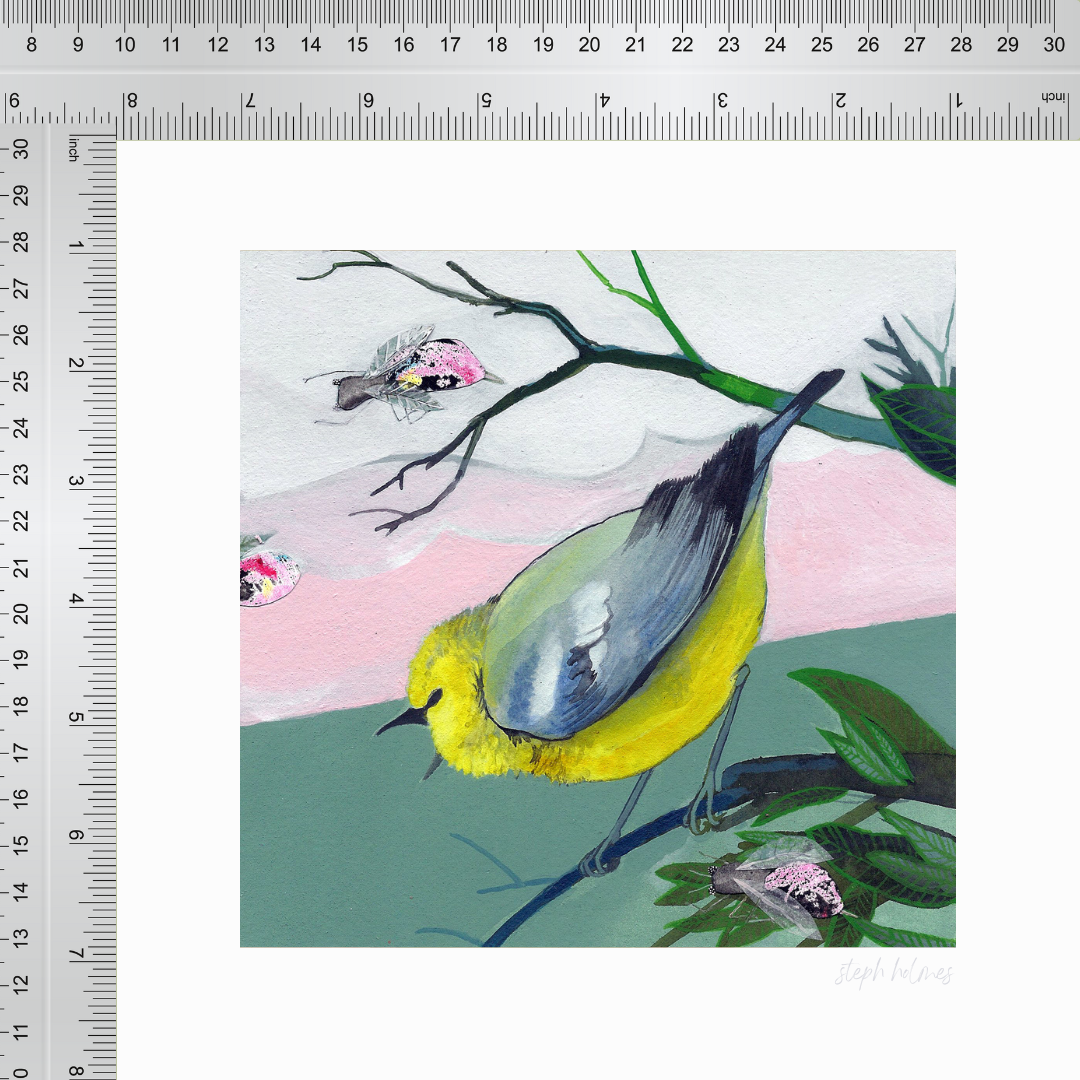 An art print featuring a bright blue winged warbler bird next to a ruler for measurement.