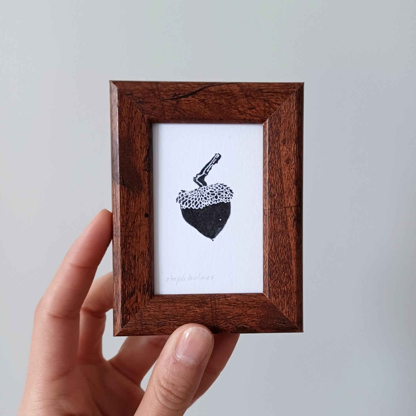 Lucky Acorn no. 105 framed print