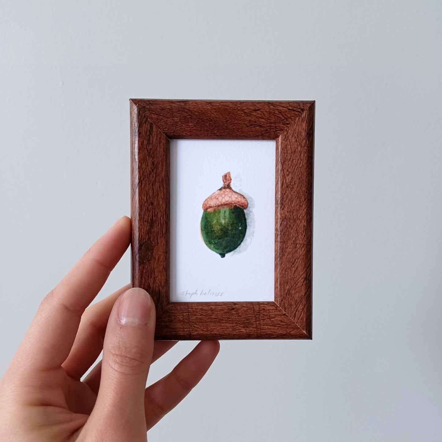 Lucky Acorn no. 200 framed print