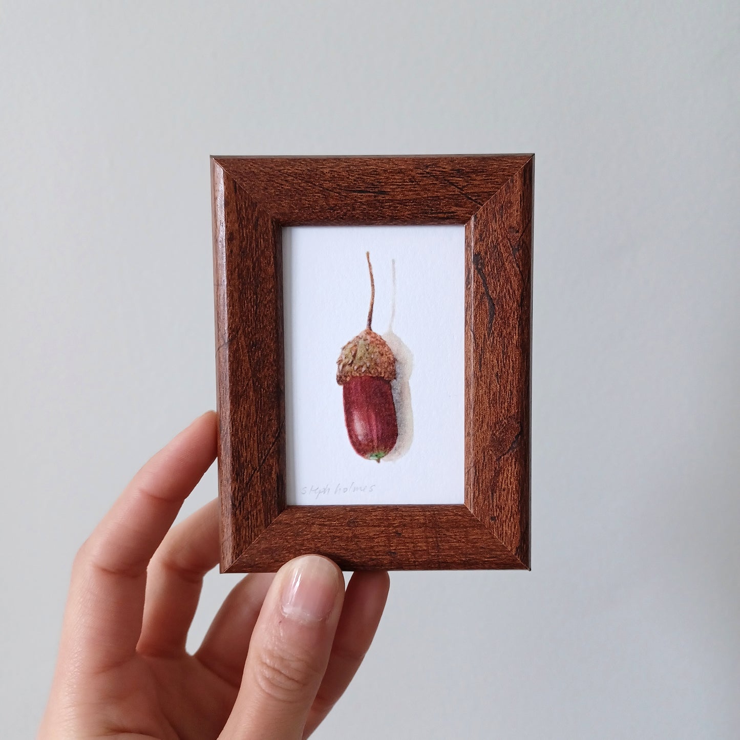 Lucky Acorn no. 201 framed print