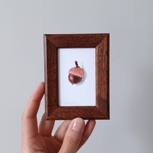 Lucky Acorn no. 202 framed print