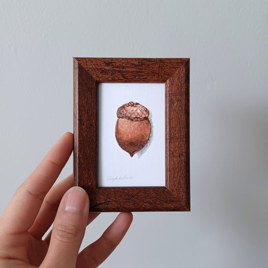 Lucky Acorn no. 204 framed print