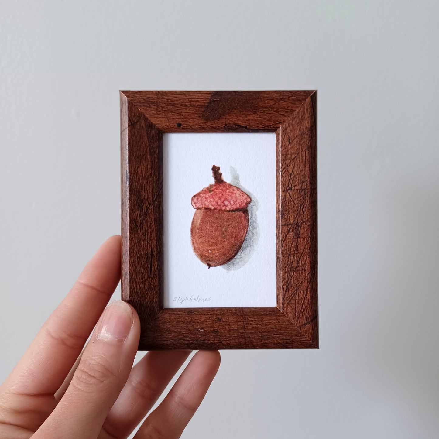 Lucky Acorn no. 205 framed print