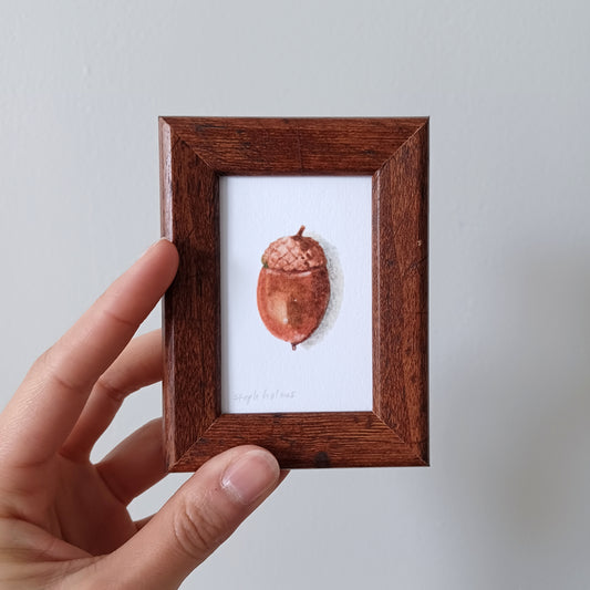 Lucky Acorn no. 209 framed print