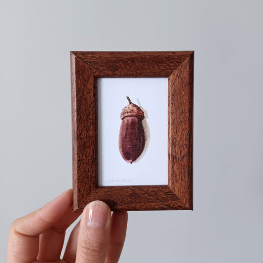 Lucky Acorn no. 211 framed print