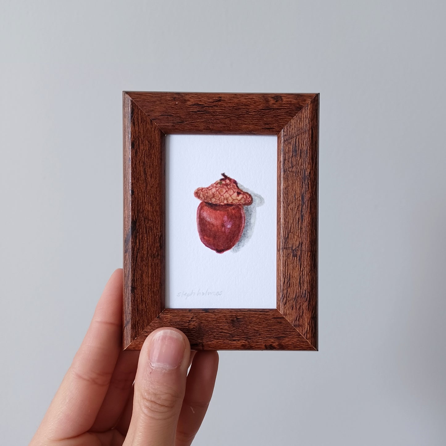 Lucky Acorn no. 212 framed print