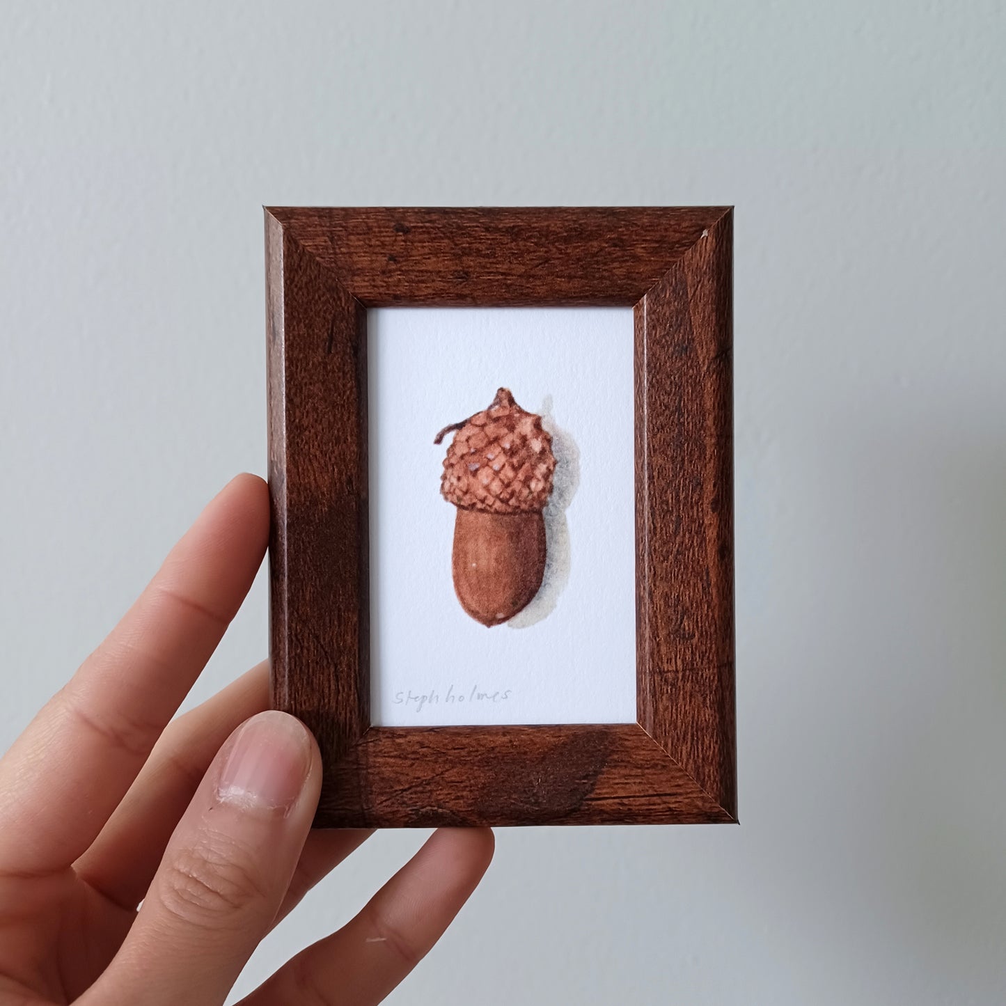 Lucky Acorn no. 213 framed print