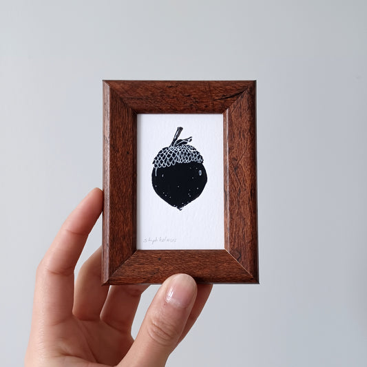 Lucky Acorn no. 302 framed print