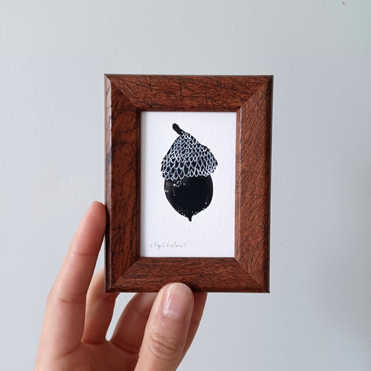 Lucky Acorn no. 304 framed print