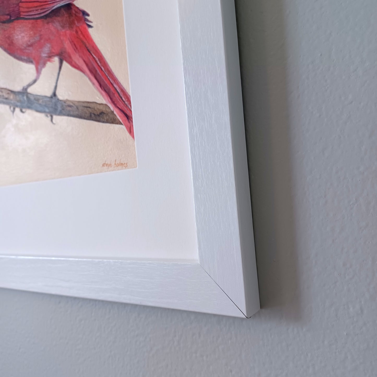 Northern Cardinal framed original painting