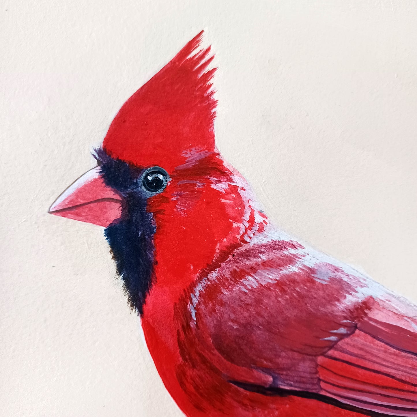 Northern Cardinal framed original painting