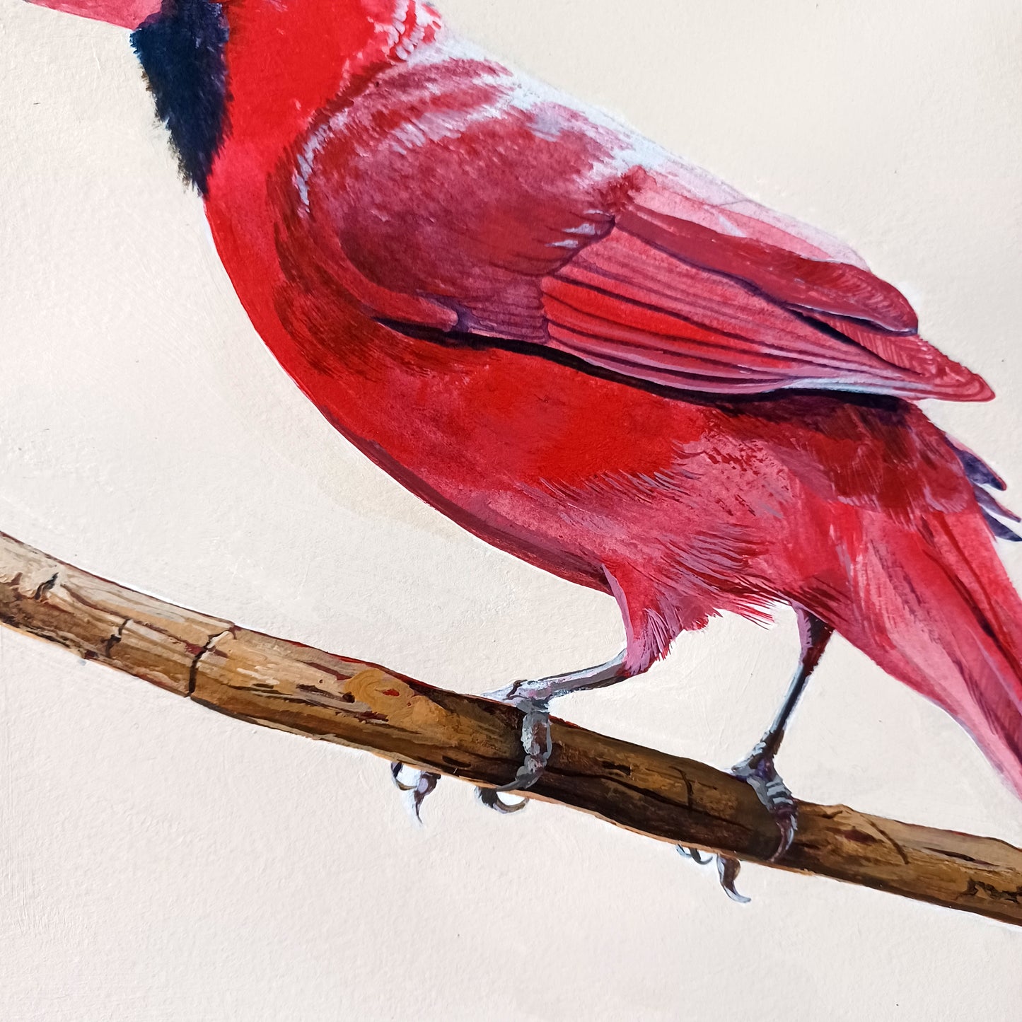 Northern Cardinal framed original painting