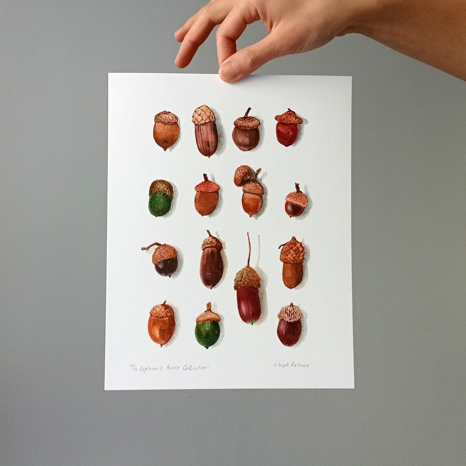 The Explorer's Lucky acorn Collection print