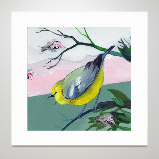 An art print featuring a bright blue winged warbler bird in front of a pink and green background.