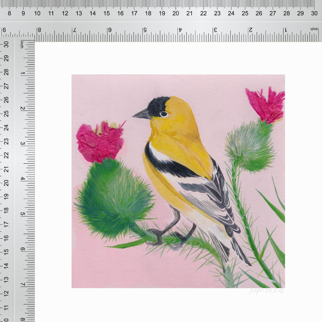 American Goldfinch print