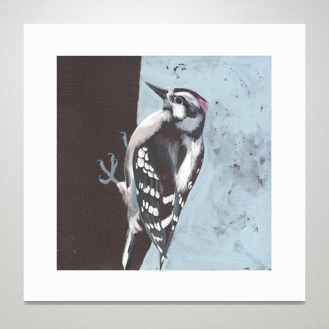 An art print featuring a Downy Woodpecker bird in front of a blue background.