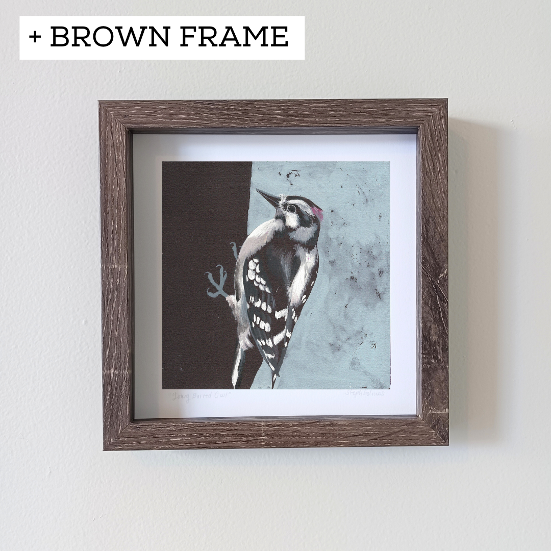 An art print featuring a Downy Woodpecker in a brown frame on a white wall.