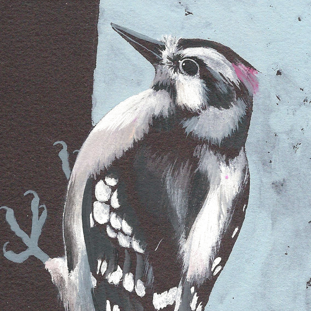 A detail of an art print featuring a Downy Woodpecker bird in front of a blue background.