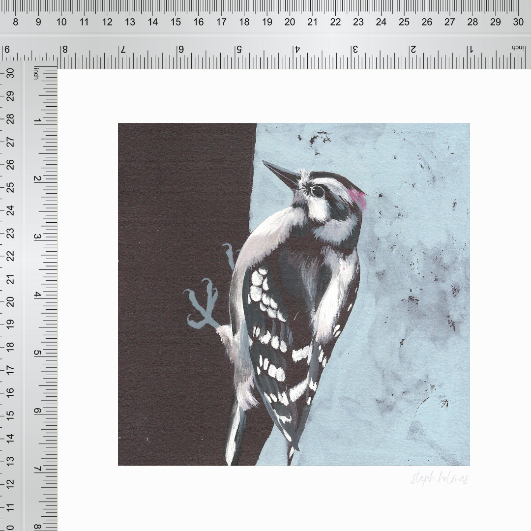 An art print featuring a Downy Woodpecker bird in front of a blue background next to a ruler for measurement.