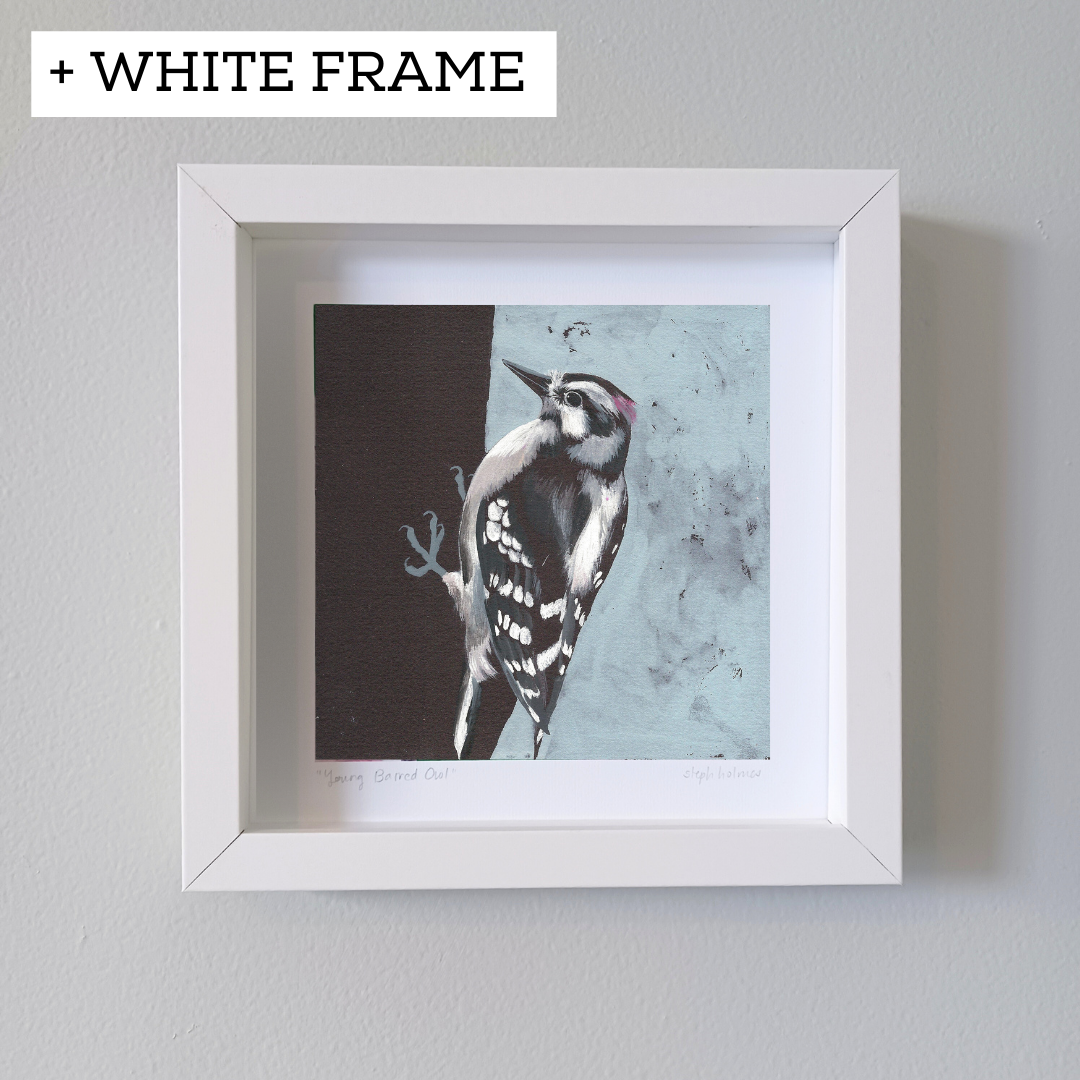 An art print featuring a Downy Woodpecker in a white frame on a white wall.