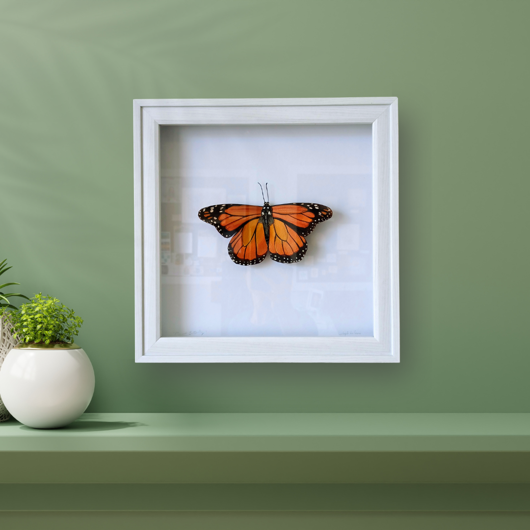 An orange monarch butterfly sculpture sits mounted in a white shadowbox on a green wall.