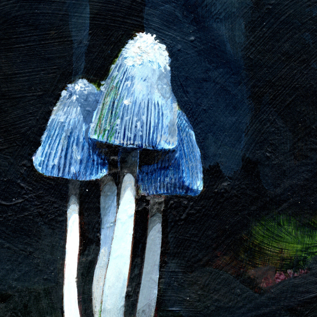 A detail of an art print of a young shaggy mane mushroom.