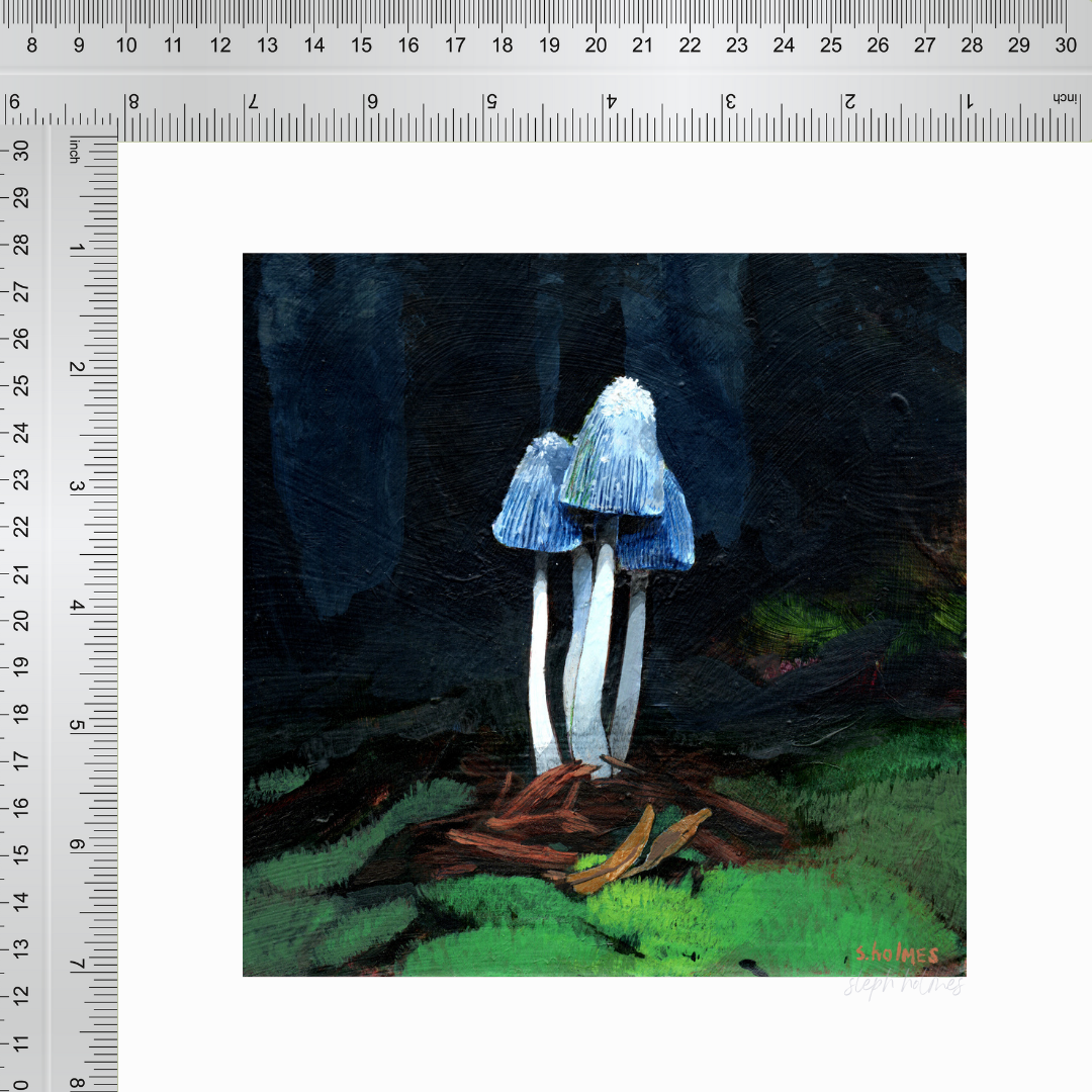 An art print of a young shaggy mane mushroom next to a ruler for measurement.