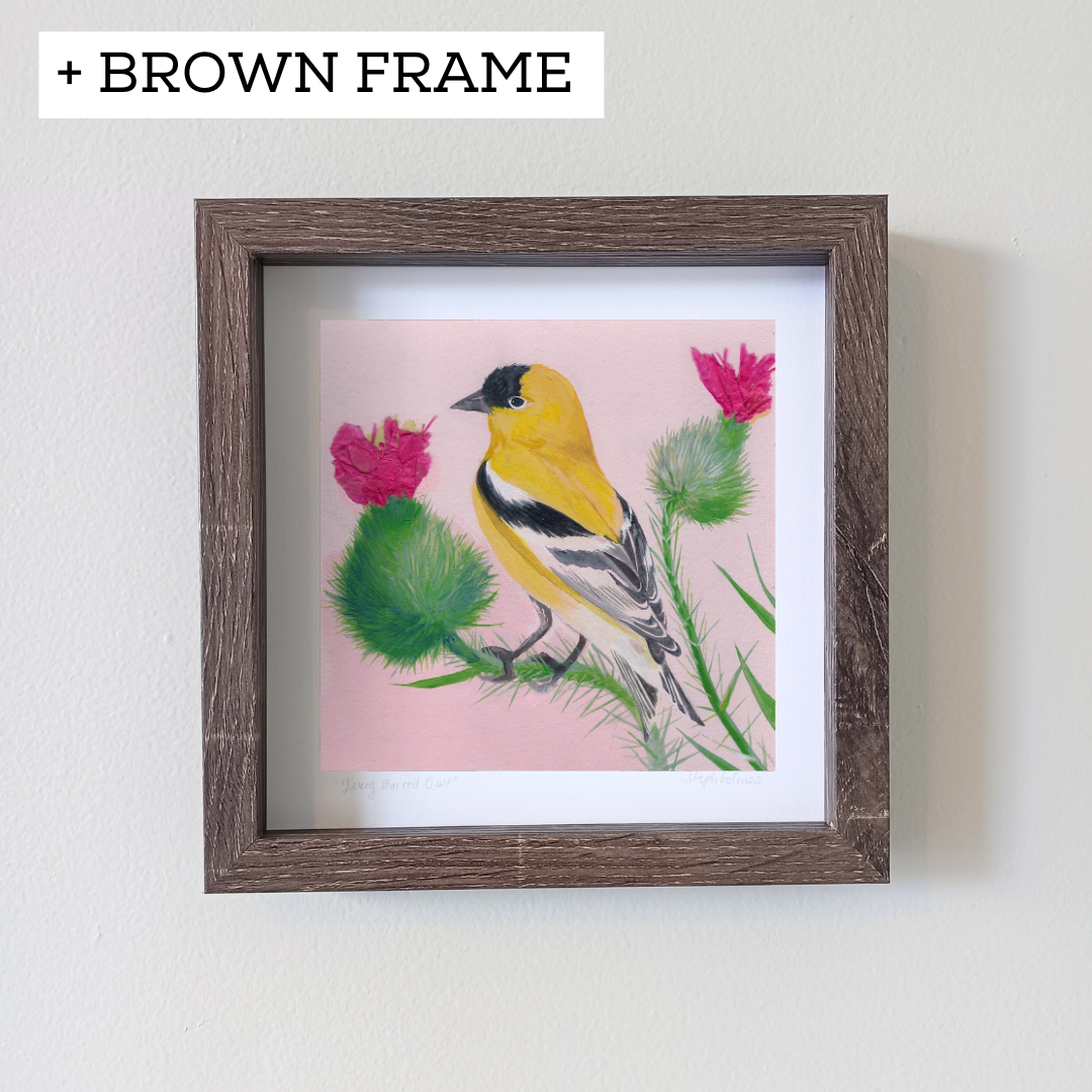 American Goldfinch print