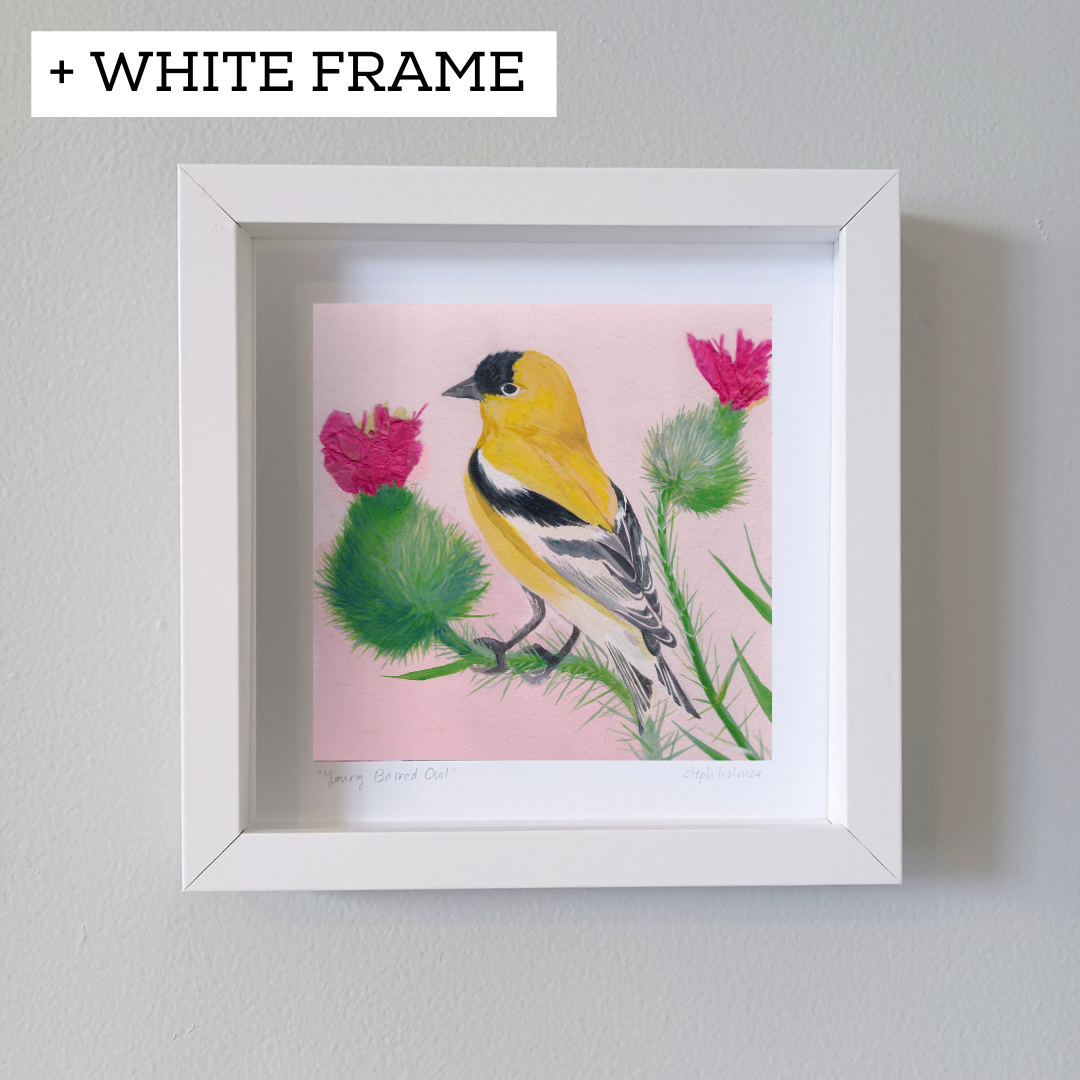 American Goldfinch print