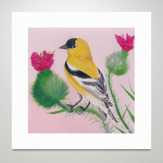 An art print featuring an American Goldfinch bird perched on thistles with a pink background.