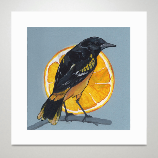 An art print featuring a Baltimore Oriole bird in front of a bright orange slice with a blue background.