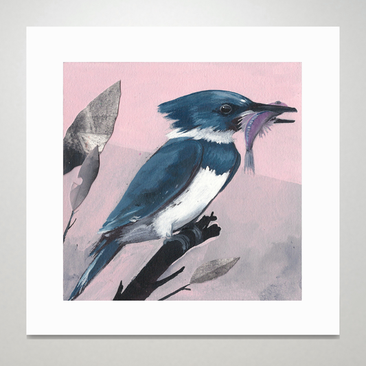 An art print featuring a blue Belted Kingfisher bird on a pink background.