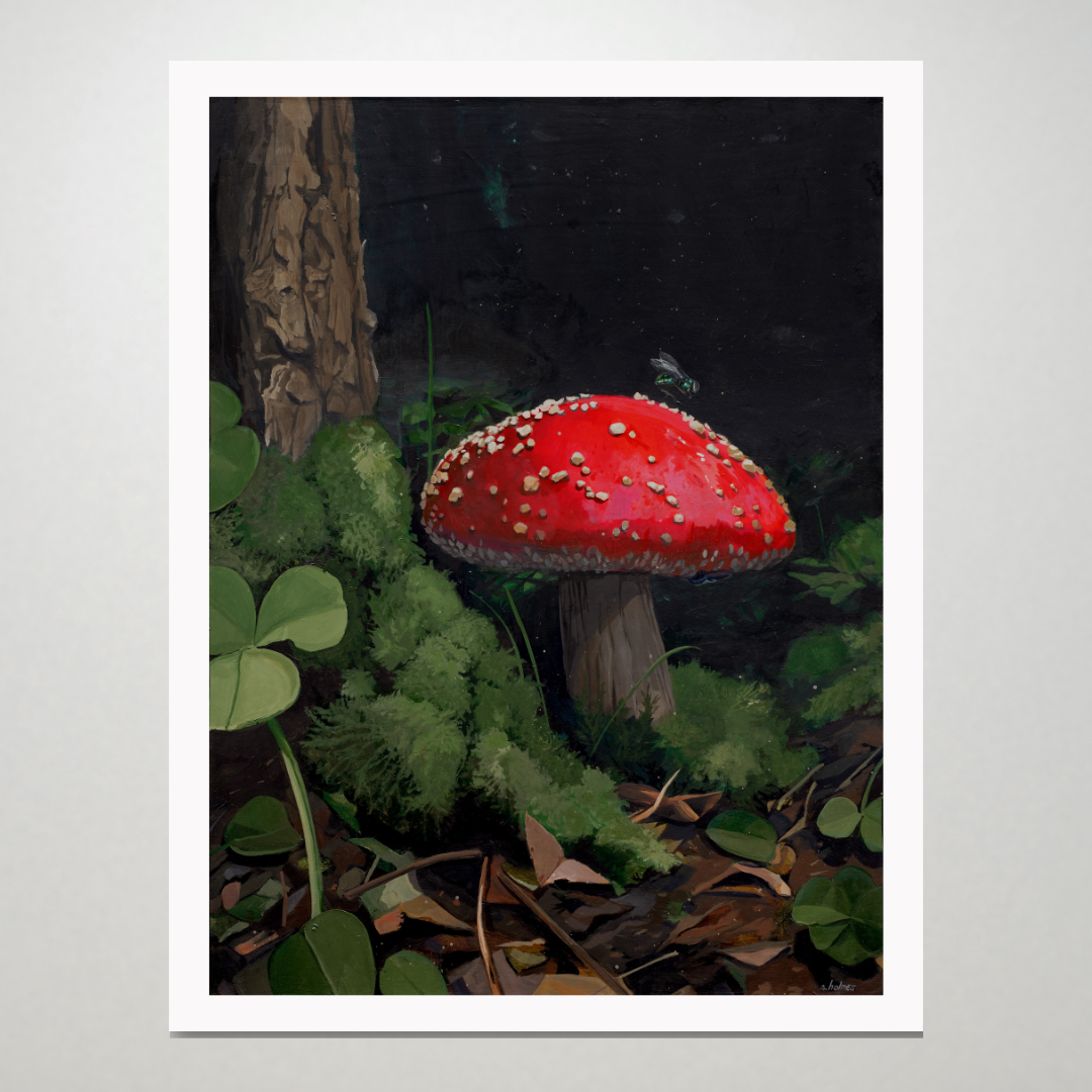 The Green Fly limited edition print