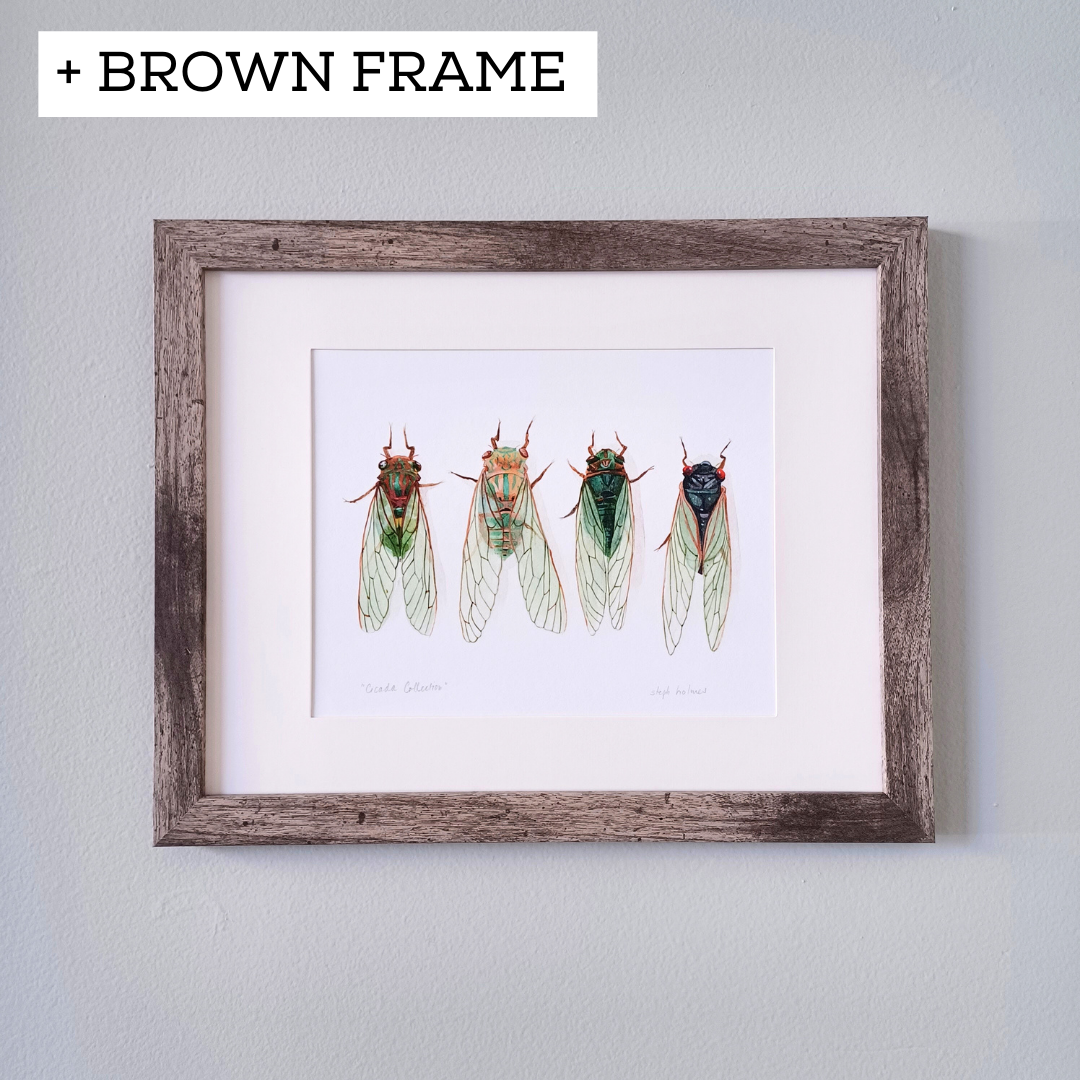 A photo of a cicada art print in a brown frame.