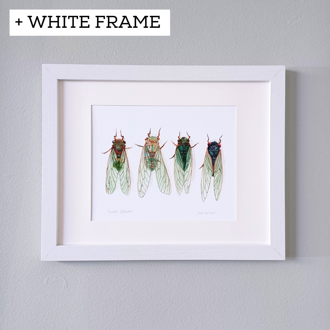 A photo of a cicada art print in a white frame.