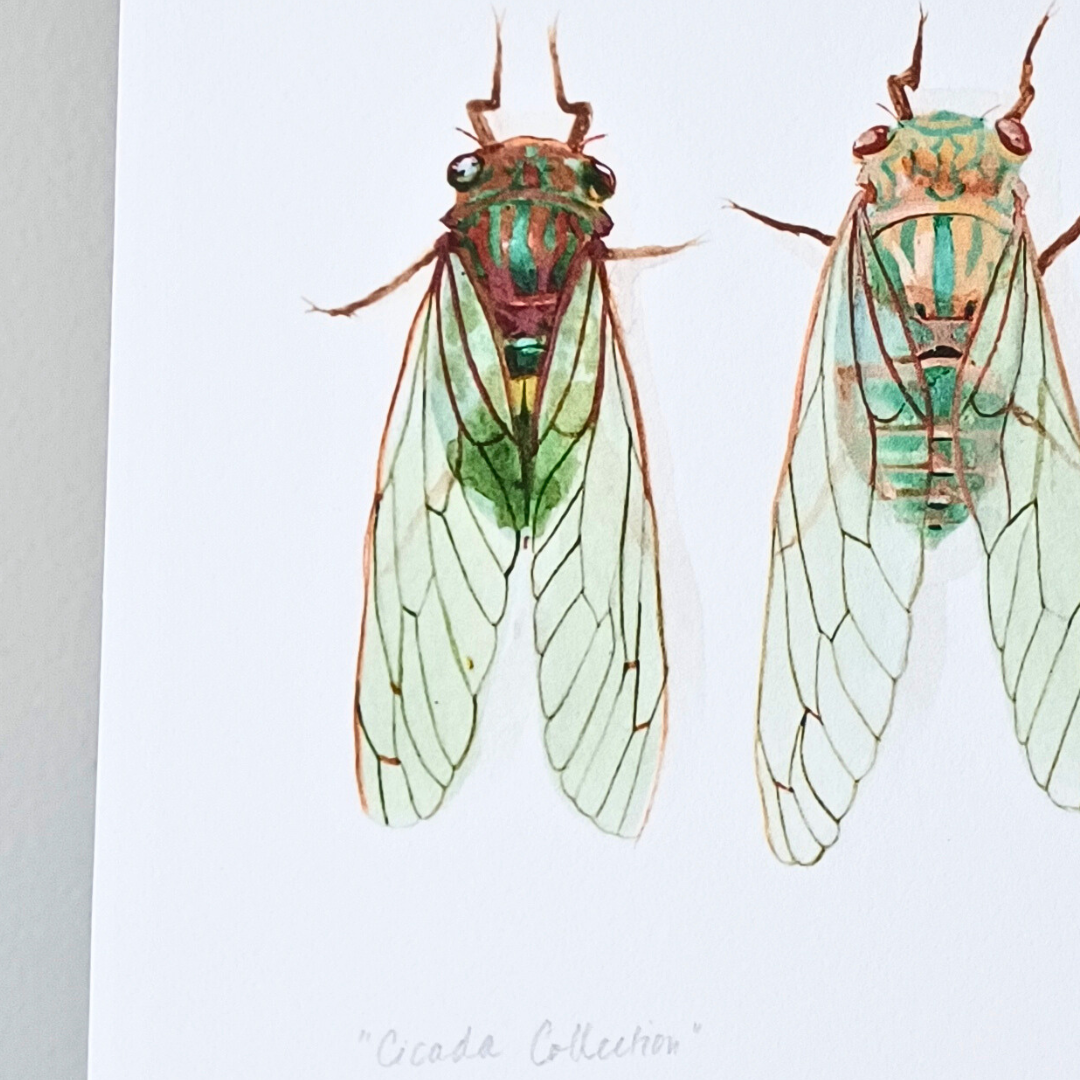 A detail photo of a cicada painting.