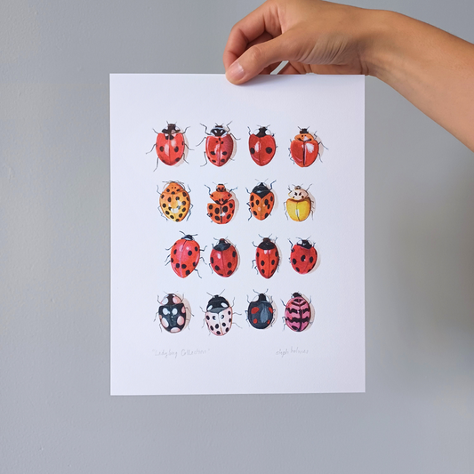 Photo of a hand holding an art print featuring a grid of different varieties of ladybugs in front of a gray wall.