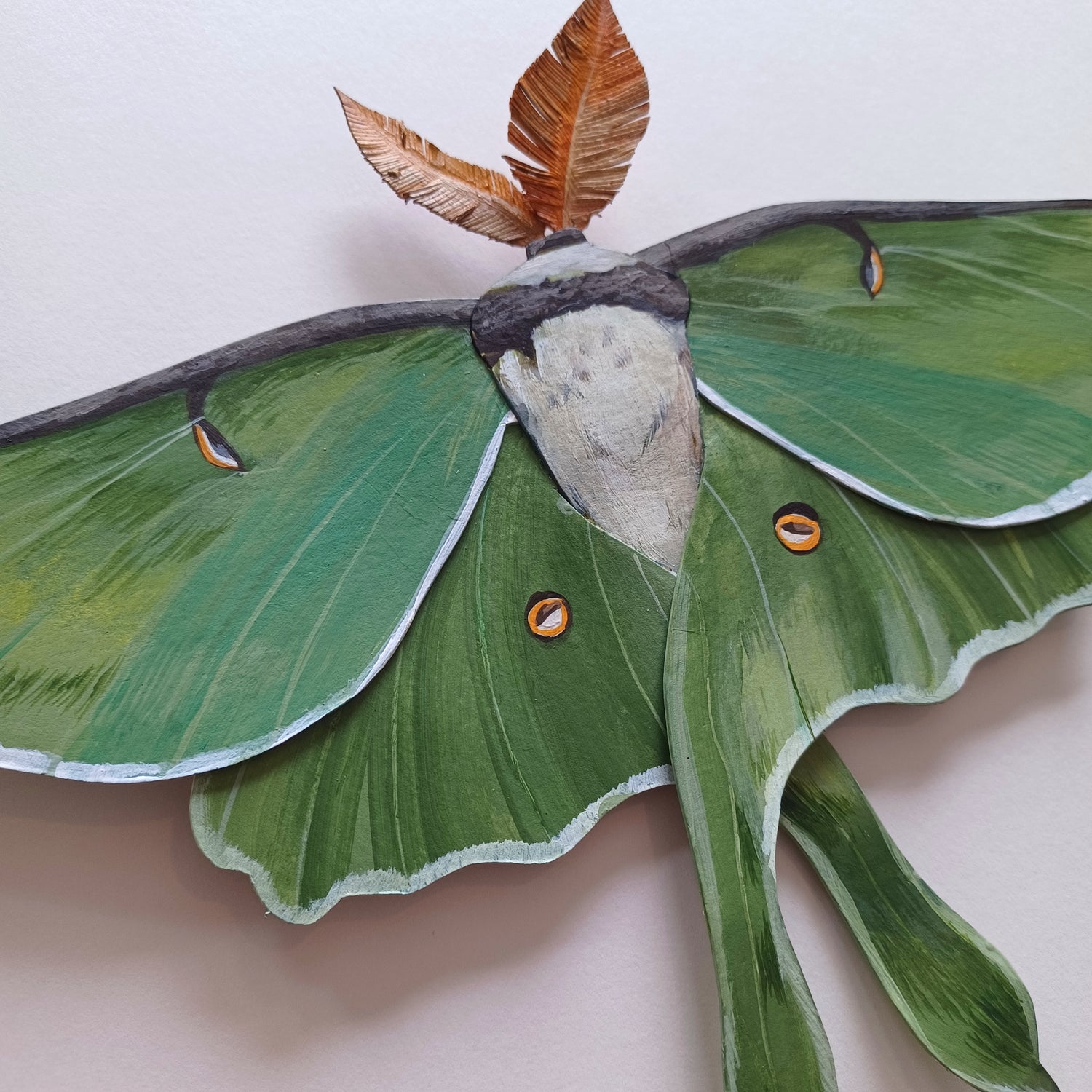 A Luna Moth sculpture by artist Steph Holmes framed in a white shadowbox.