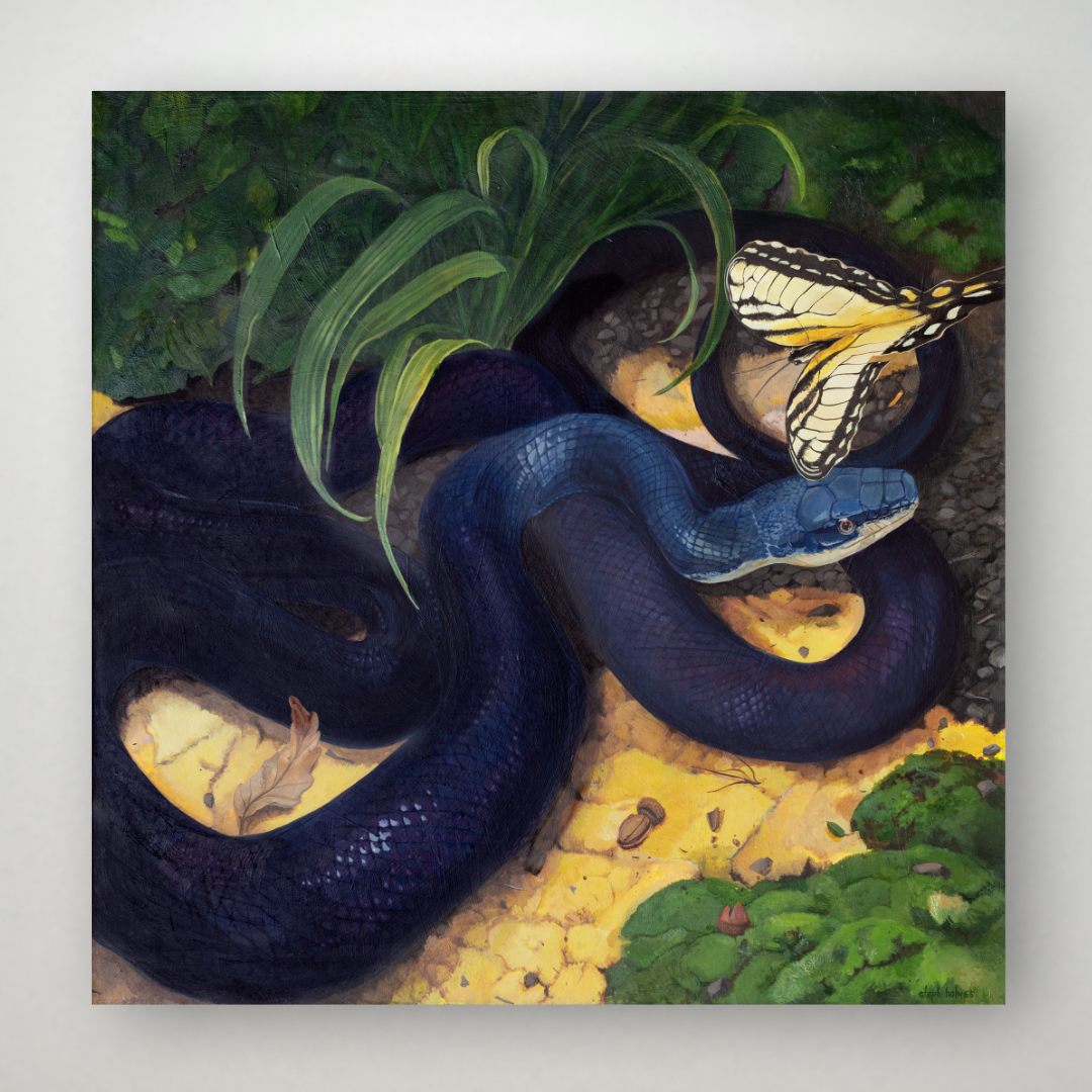 A photograph of a painting of a black rat snake and a yellow swallowtail butterfly on a gray wall.