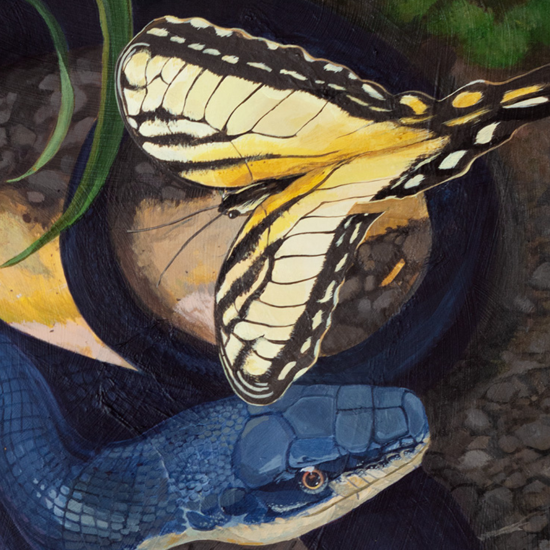 A detail photo of a painting of a yellow swallowtail butterfly and a black rat snake.