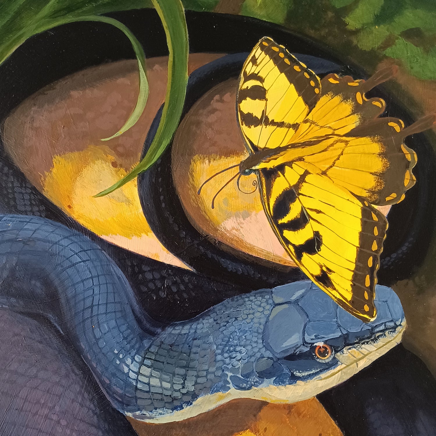 A detail photo of a painting, The Swallowtail and the Black Rat Snake.