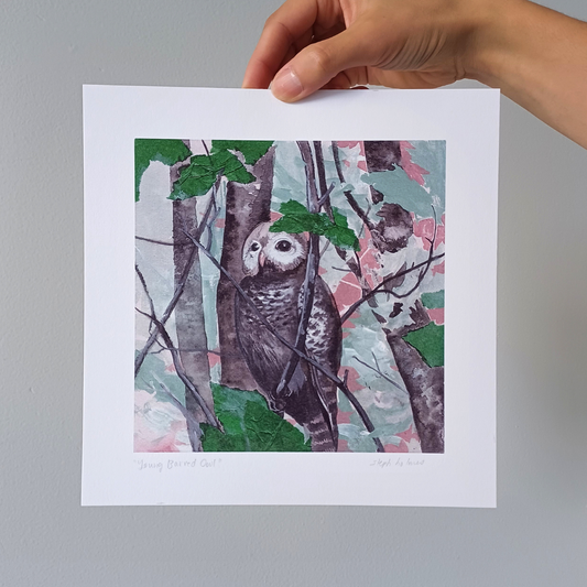 A hand holding a young barred owl print.