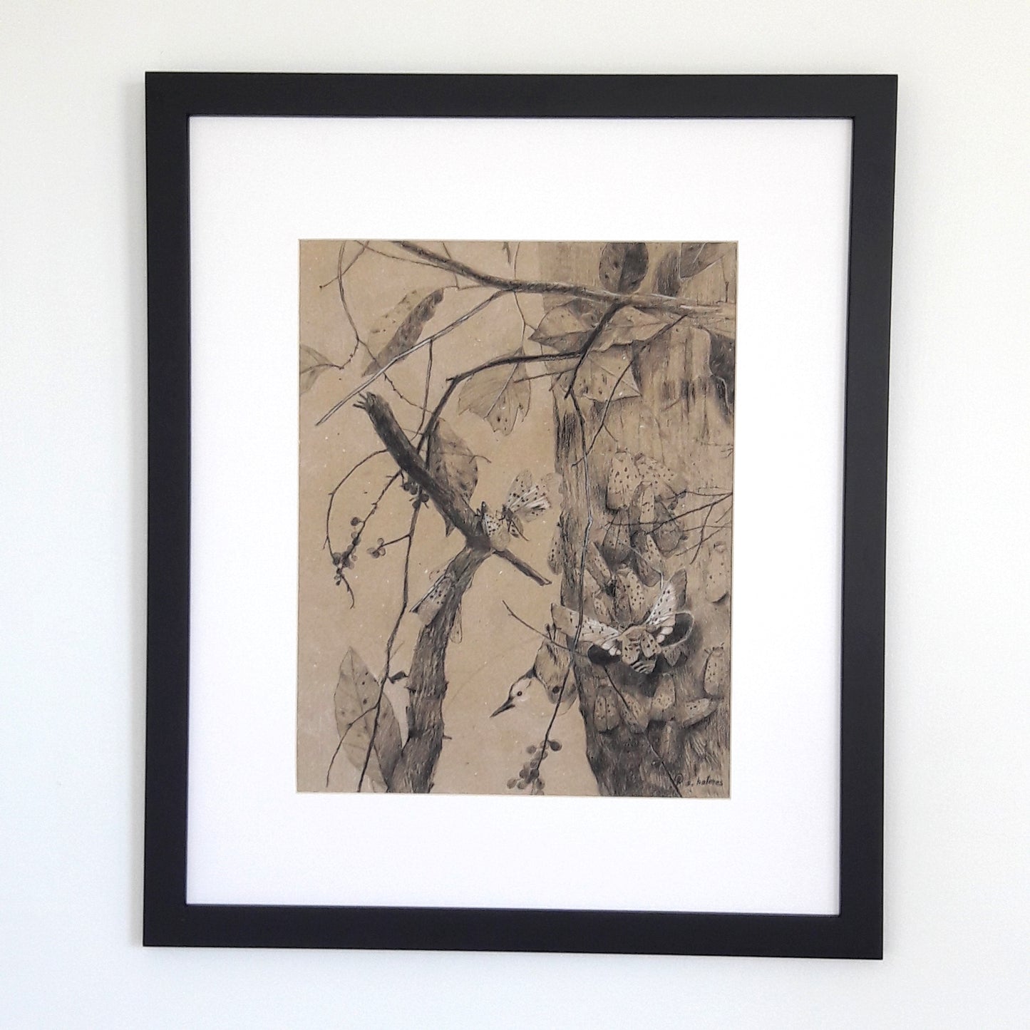 Lanternflies In Season framed charcoal drawing