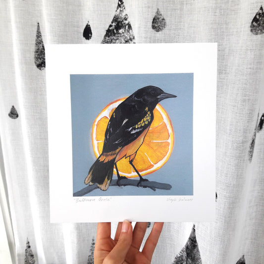 Baltimore Oriole print