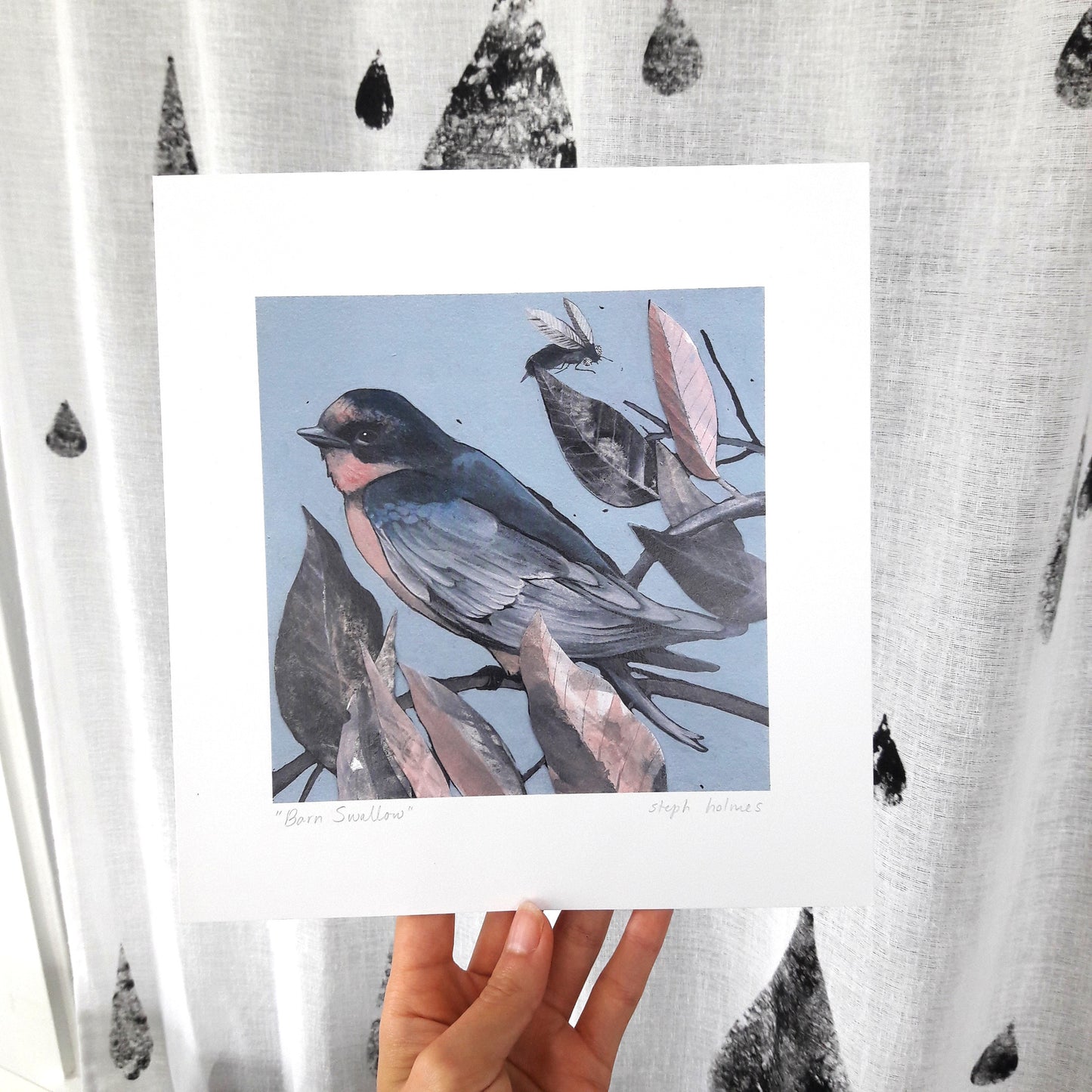 Barn Swallow print