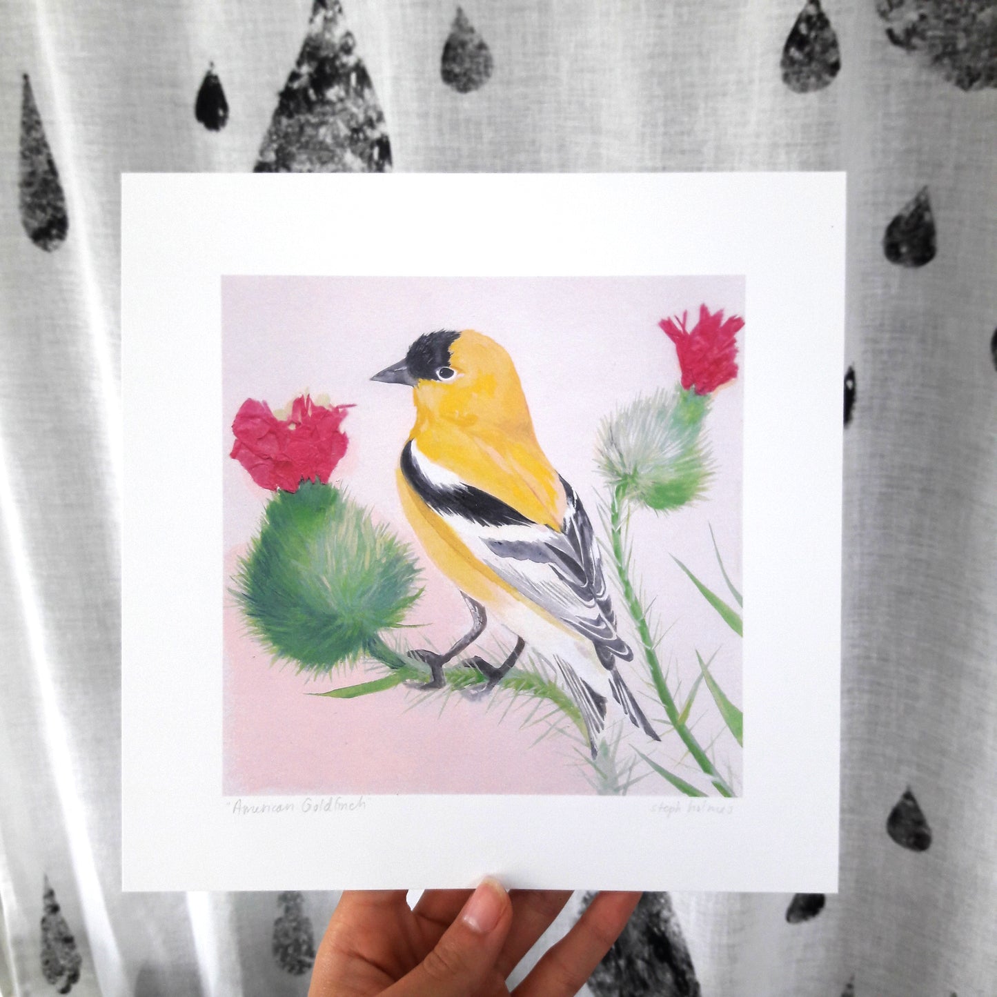 American Goldfinch print