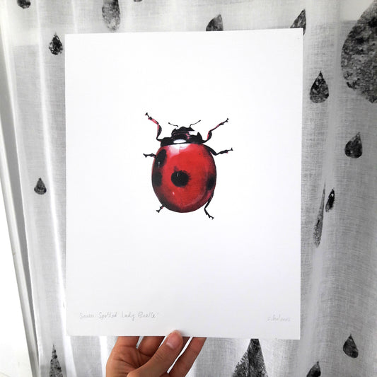 Seven-Spotted Lady Beetle print