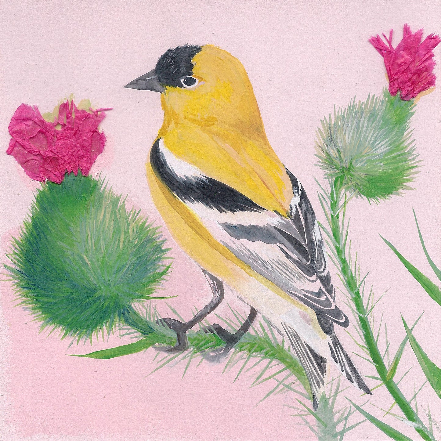 American Goldfinch print