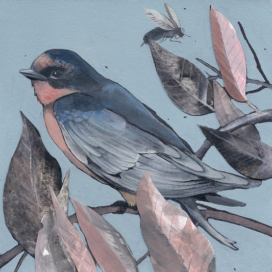 Barn Swallow print