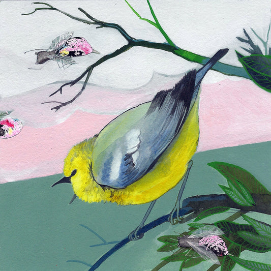 Blue-Winged Warbler print